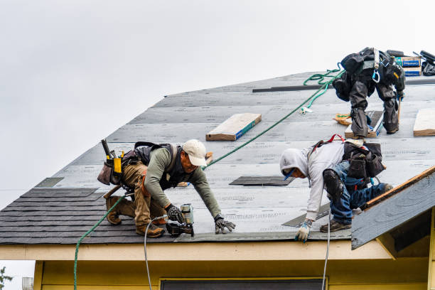 Professional Storm Damage Roof Repair technician working in Oakwood, IL